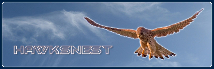 Hawksnest